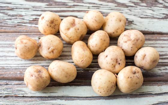 Organic Baby Gold Potatoes From Our Farmers SF Bay Good Eggs